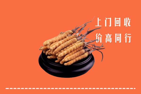 高价求购：胡杨河市回收散虫草