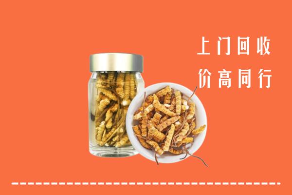 胡杨河市回收冬虫夏草